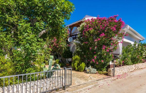 Apartment "Marija" - Otok Вир Экстерьер фото
