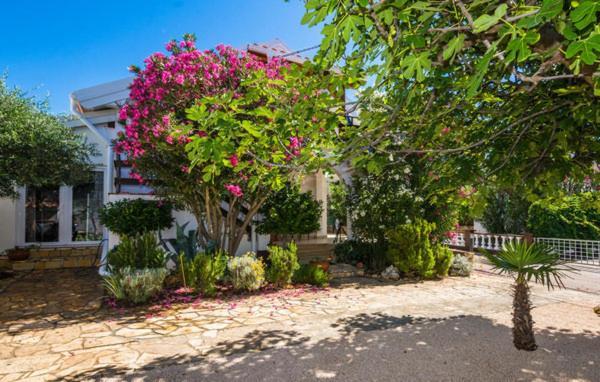 Apartment "Marija" - Otok Вир Экстерьер фото