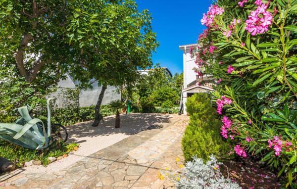 Apartment "Marija" - Otok Вир Экстерьер фото